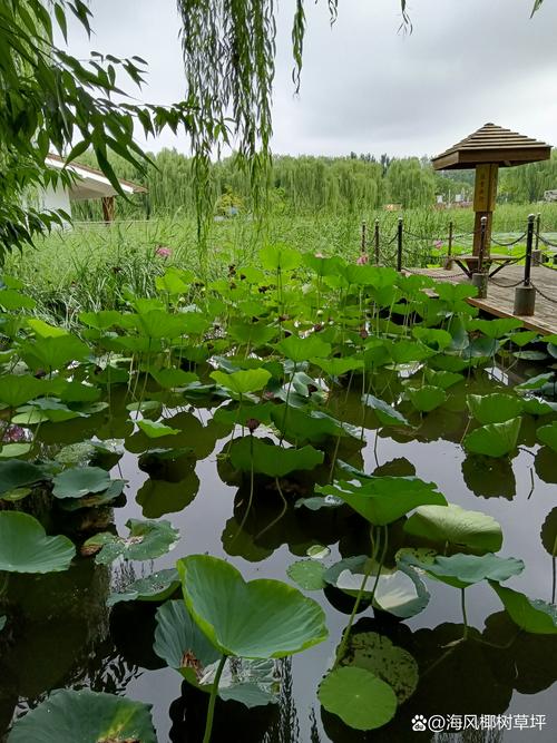 南方雨一直下下下,南方总是在下雨