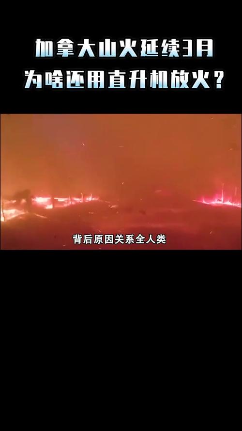 加拿大山火2人死亡,加拿大山火2人死亡原因