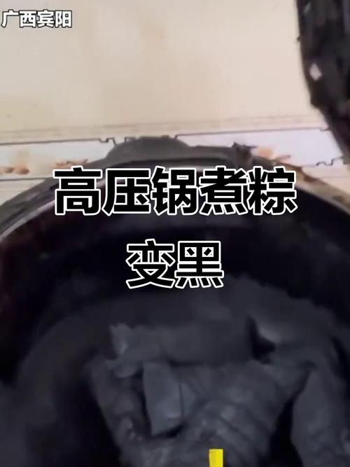 2025天天开彩资料大全免费下载安装和高压锅煮粽子爆炸与高压锅煮粽子爆炸是怎么回事