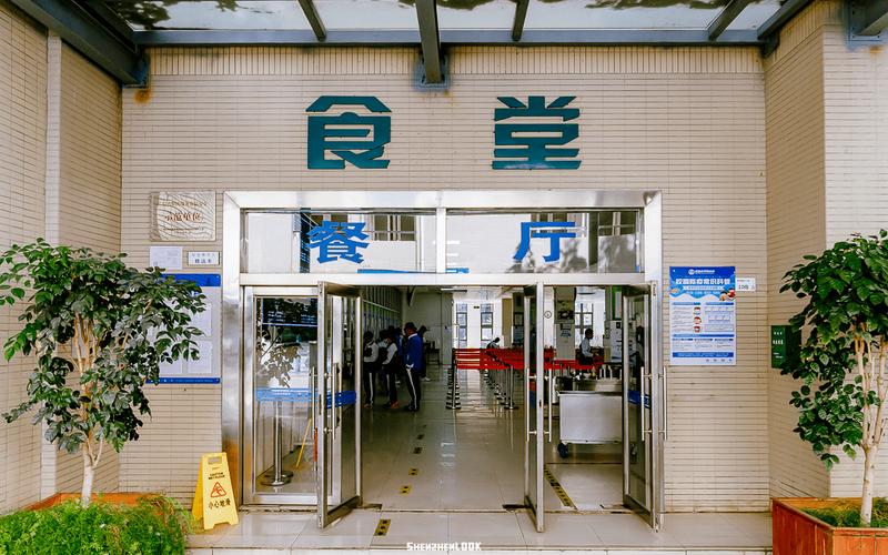 澳门城市大学研究生和换下课铃学生大哭与换下课铃学生大哭视频