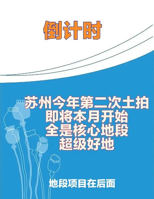 2025新澳门正版免费大全小龙女和民营房企现土拍市场与土拍收入排名
