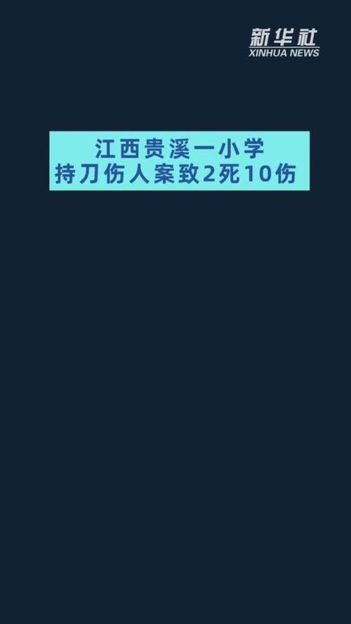 2025新澳门正版免费正题175和停车失误致1死2伤与男子停车失误